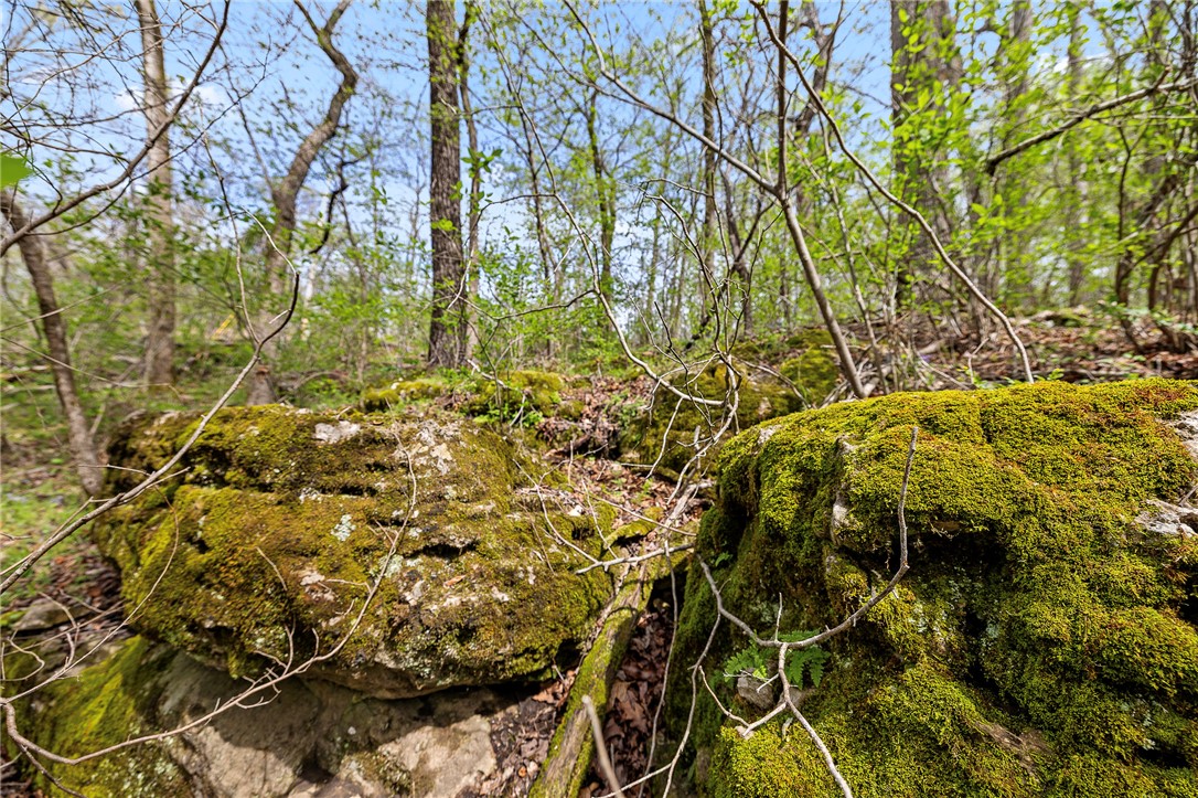 Oaks Landing On Table Rock Lake - Land