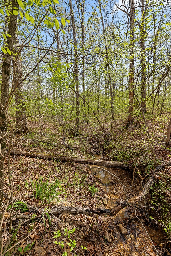 Oaks Landing On Table Rock Lake - Land