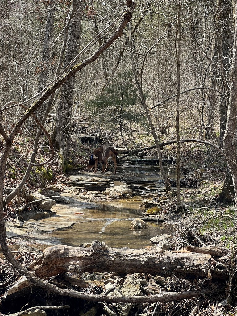 Oaks Landing On Table Rock Lake - Land