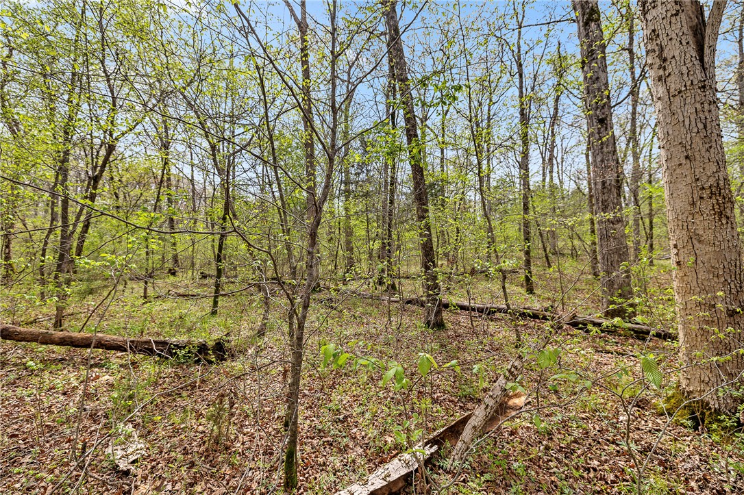 Oaks Landing On Table Rock Lake - Land
