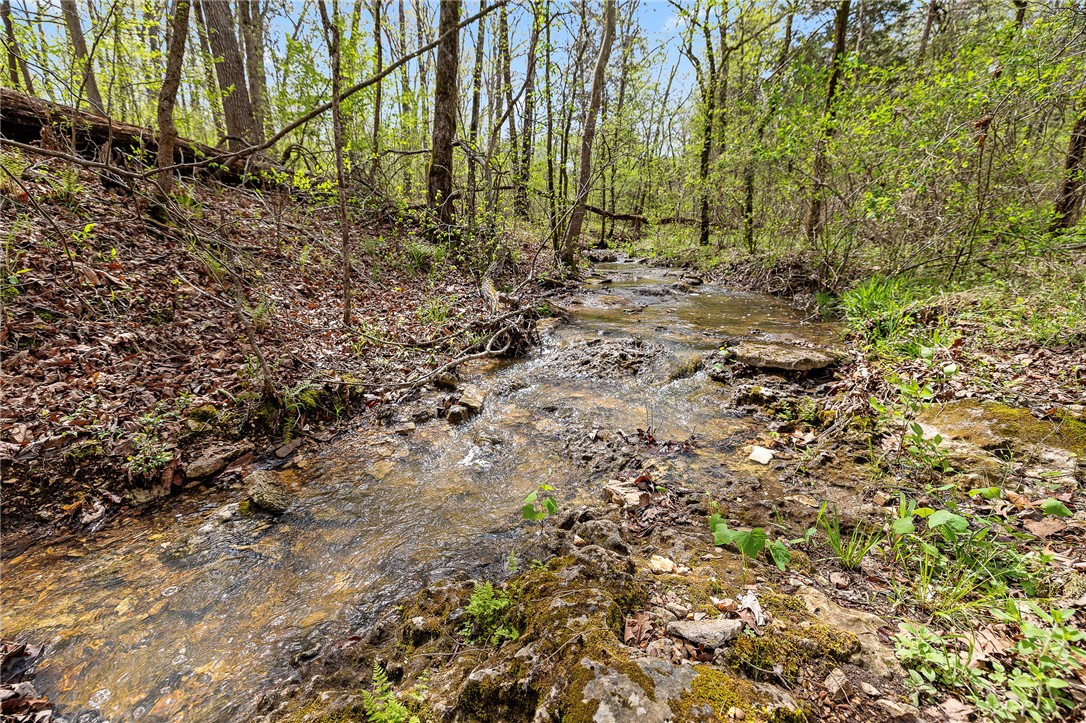Oaks Landing On Table Rock Lake - Land