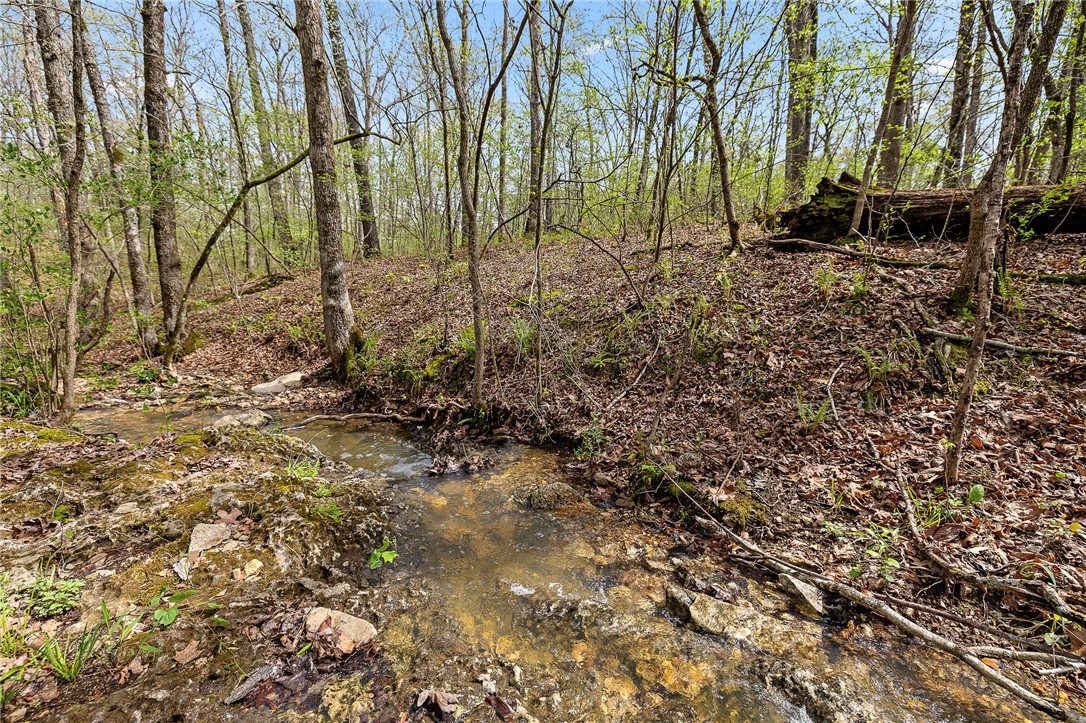Oaks Landing On Table Rock Lake - Land
