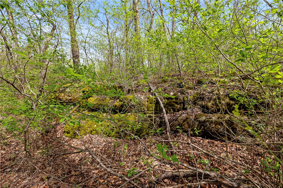 Oaks Landing On Table Rock Lake - Land