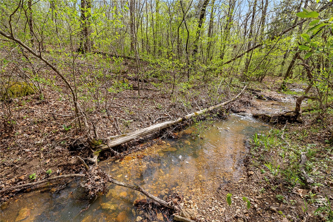 Oaks Landing On Table Rock Lake - Land