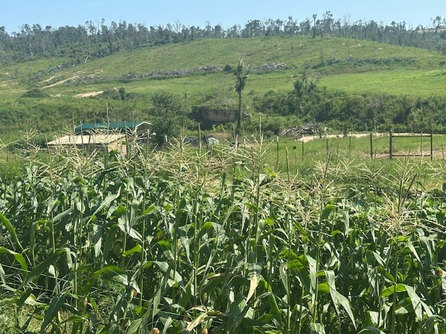 07-19-33-RURAL - Residential
