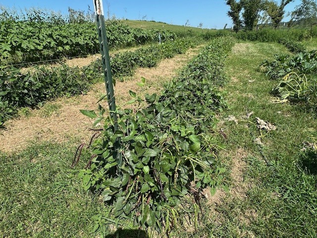 07-19-33-RURAL - Residential
