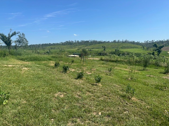 07-19-33-RURAL - Residential