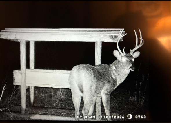 07-19-33-RURAL - Residential