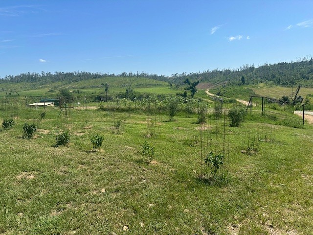 07-19-33-RURAL - Residential