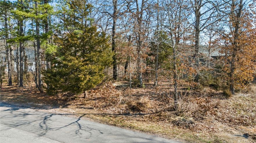 Prime corner lot in beautiful Bella Vista! This property offers a great opportunity to build your dream home with electric, city water, and sewer available at the road. Situated on a desirable corner location, allowing flexibility in home placement and access. Enjoy all that Bella Vista has to offer including golf courses, lakes, walking trails, and recreational amenities. Conveniently located near shopping, dining, and easy access to I-49. Don’t miss your chance to own a great buildable lot in this growing community!