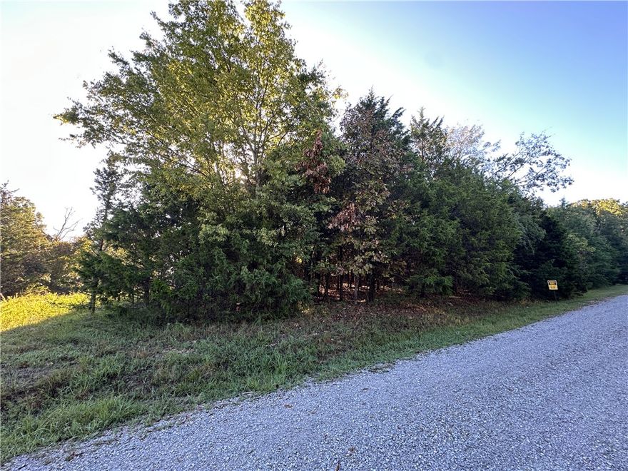 Tucked away near the end of Hand Cove Road, this beautiful 1.8-acre m/l corner lot offers the perfect blend of peace, privacy, and convenience. Located just moments from Norfork Lake, one of the Ozarks’ most scenic and recreation-rich destinations, this fairly level property provides an ideal setting to build your dream home or lake retreat. Whether you love fishing, boating, or simply soaking in the natural beauty, you’ll find it all nearby. With electric running along the road and easy access from a quiet dead-end street, this is the perfect spot to enjoy lake living at its best.