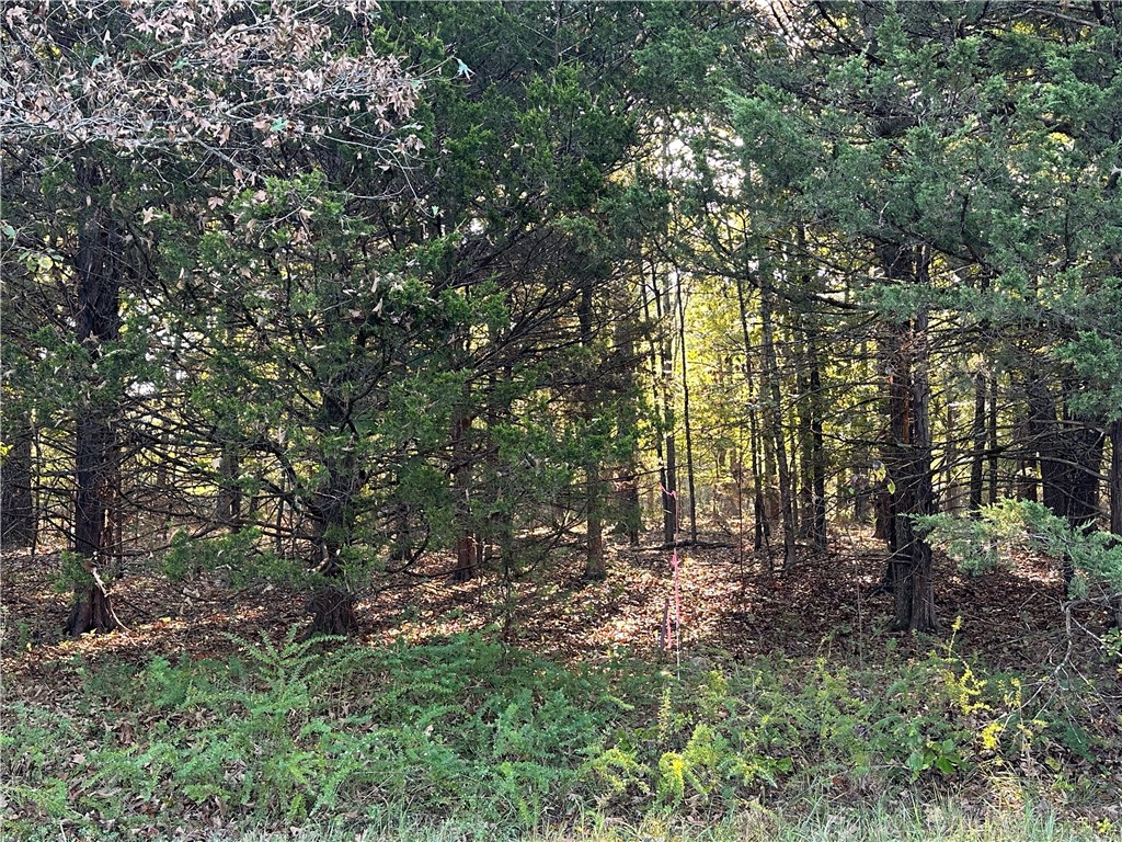 Hand Cove Subdivision - Land