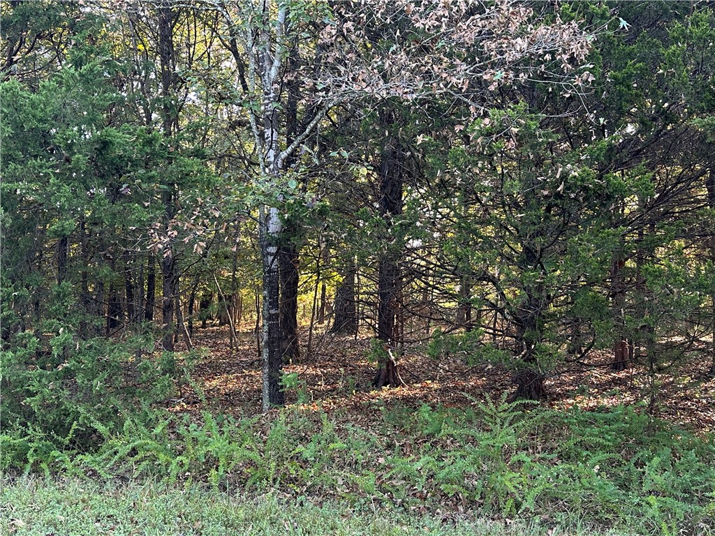 Hand Cove Subdivision - Land