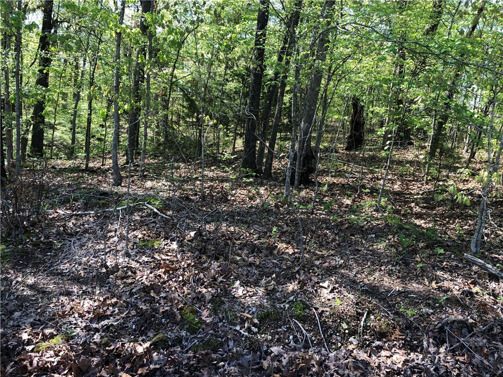 Great, buildable lot in area of nice homes, front 60' of lot gently slopes, back drops. Opportunity for drive to enter from W or N because of location on cul-de-sac.