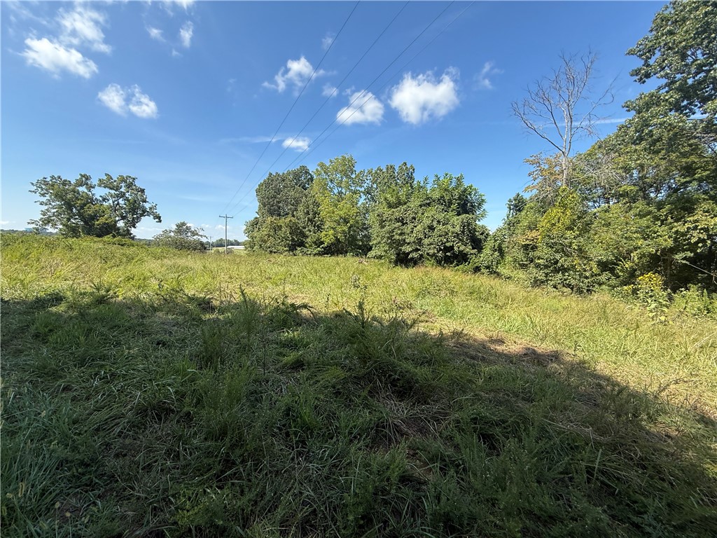 20.00+/- acres just off HWY 127. This property features multiple build sites, road frontage on 2 sides, and mature trees.