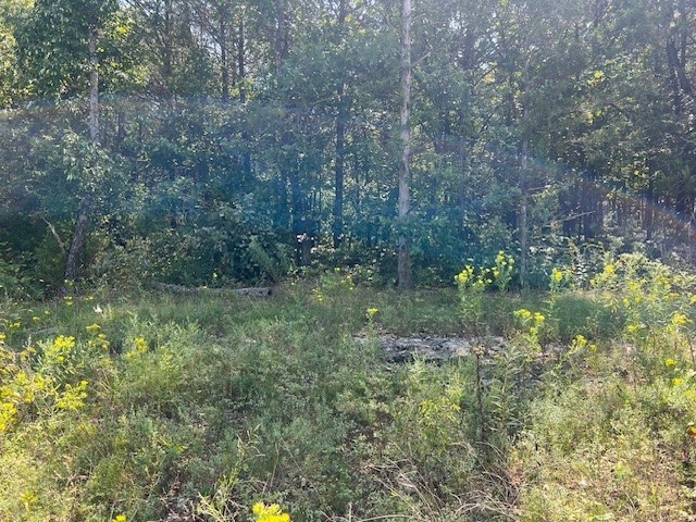 Unit 1 Holiday Island - Land
