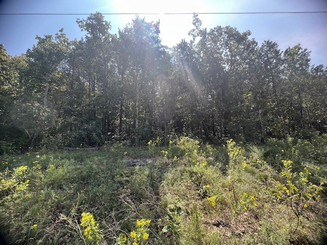 Beautiful treed lot with a gentle upslope comprising 0.81 acres. Perfect for you to build or move on a new mobile home. Nice neighborhood on a quiet street. Minutes from all of the amenities of Holiday Island. Marina, fishing, rec center, swimming pools, 2 golf courses, country club and more. Groceries, banking, restaurants and more close by as well. Contact your favorite realtor for more information. This won't last long.