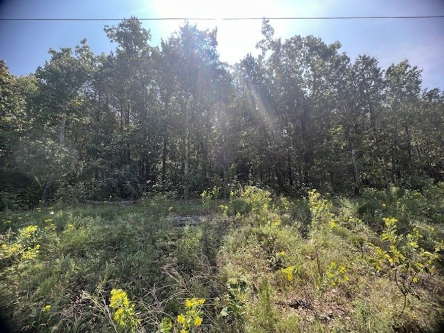 Beautiful treed lot with a gentle upslope comprising 0.81 acres. Perfect for you to build or move on a new mobile home.  Nice neighborhood on a quiet street.  Minutes from all of the amenities of Holiday Island.  Marina, fishing, rec center, swimming pools, 2 golf courses, country club and more.  Groceries, banking, restaurants and more close by as well.  Contact your favorite realtor for more information.  This won't last long.