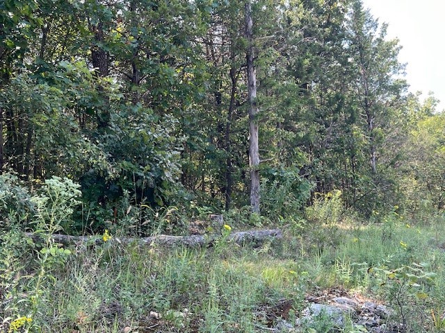 Unit 1 Holiday Island - Land