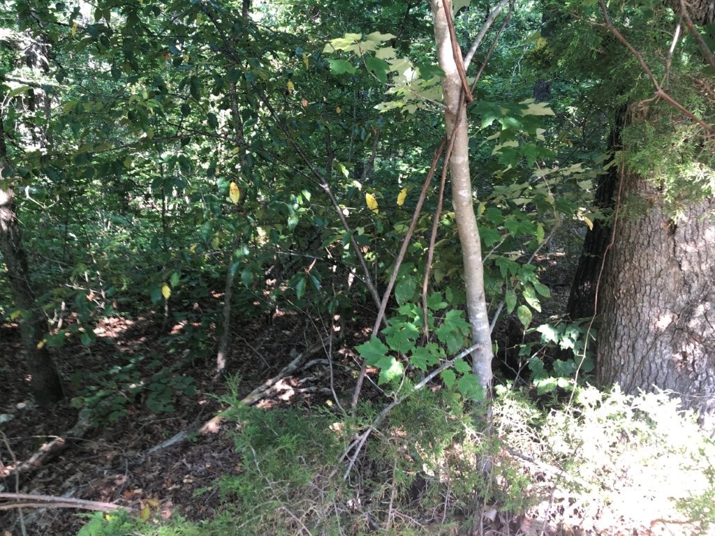 Large lot in an area of new homes.