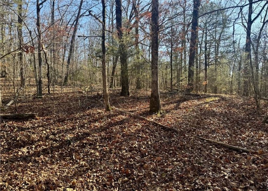 70 Secluded acres up for sale! 

Located at the very end of Zachary Trail in Rudy, AR! 70 wooded acres that would be perfect for hunting, hiking, and recreation! Loaded with deer, turkey, occasional bears, and hogs, this is the perfect hunting property.  The terrain is fairly flat on the east side of the property, with rolling, more rugged terrain to the west, and a wet-weather creek in the valley that runs through the middle of the property.

Mineral Rights do not convey.