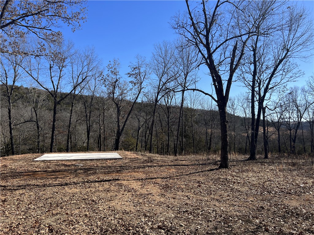 Great Level Building Site!! The property already has a 30ft x 20ft concrete slab for a shop. The 6.83 Acres has large trees and No Restrictions. Come check it out today.