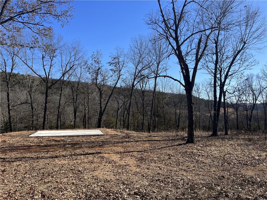 Great Level Building Site!! The property already has a 30ft x 20ft concrete slab for a shop.  The 6.83 Acres has large trees and No Restrictions. Come check it out today.