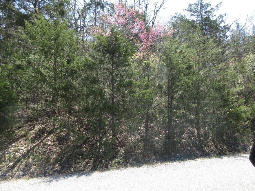 This is a very buildable wooded lot close to Table Rock Lake and the Holiday Island Marina. It is close to the Kayak launch area and the paved Leatherwood trail. After you cross the bridge over to the island, the 9-hole golf course and the Rec Center with swimming pools are there.