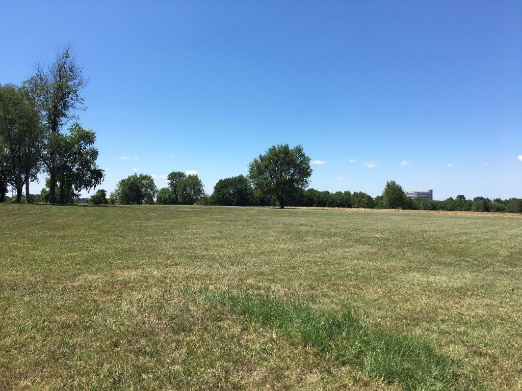 9-17-30 Springdale Outlots - Land