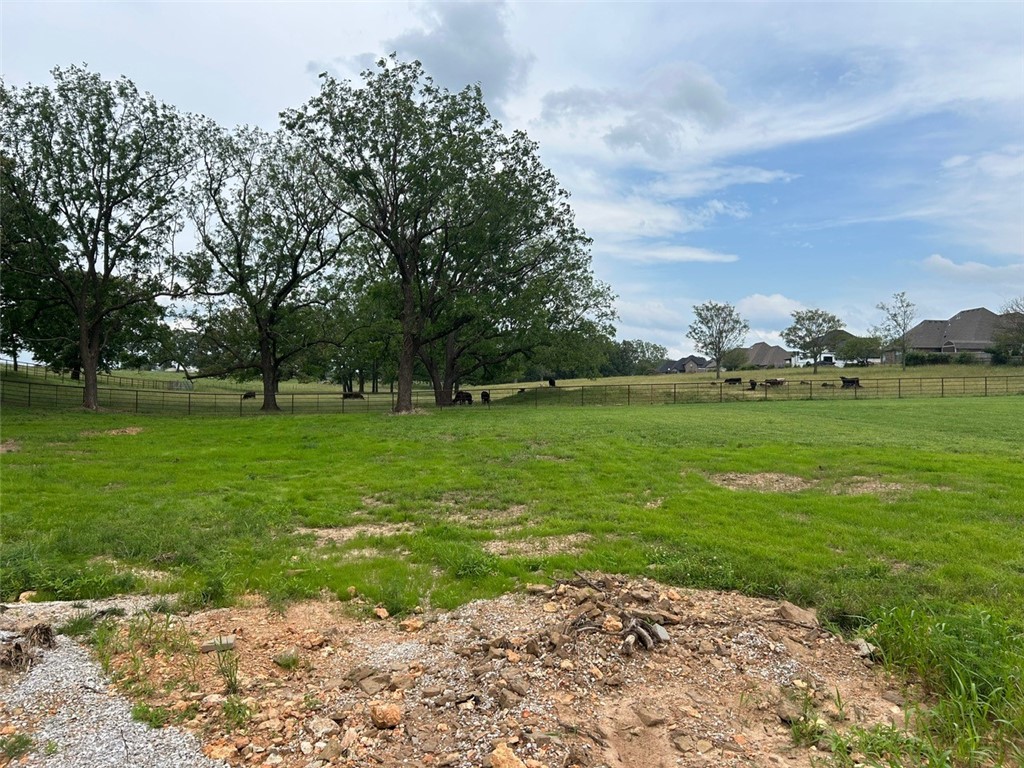 29-18-30 ELM SPRINGS OUTLOTS - Land