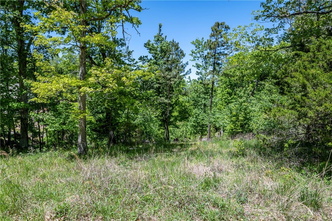 Runnymede Rev Sub Rurban - Land