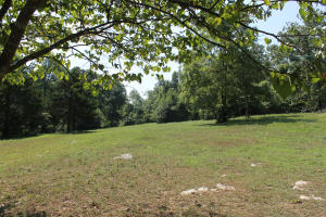 20 acres with approx. 1/2 in pasture, highway 7 frontage, has 24x20 foundation ready for a cabin, small outbuilding with electric, 2 stall horse barn, property is currently used for a horse camp, only a short drive from the Buffalo River.