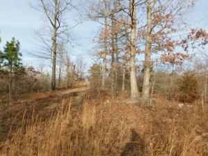 90.2 Acres (per new survey) wooded land located near the Buffalo River and Buffalo River National Park with access points at Woolum, Hwy 65, and Gilbert only minutes away. Great for hunting with deer, turkey, and other wildlife. Only 4 miles to small town with public school, convenience store and Dollar General. This property has several potential home sites with distant views. Approximately 3/10 mile of county road frontage. There is additional 58 acres lying north of the road for $69,600 or combine the 2 tracts total 140 acres for $155,900. See aerial and topo maps in Documents tab, come see this property today!!