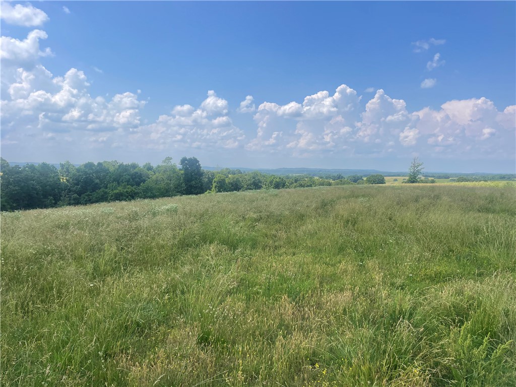 30 MOL fenced acres that would be a nice place to build a home with a beautiful view! There is an abundance of grass for livestock and a small cattle corral as well. There is also a 50x80 shop that is partially being used as a cabinet shop and the other part is storage. This shop is partially heated and cooled as well. This would be a great investment if you do woodworking and you wanted to build a home where your business is located. The shop would also make a good place for any hobby, small business or storage needs you may have. The best part, it is all located on a paved road!!