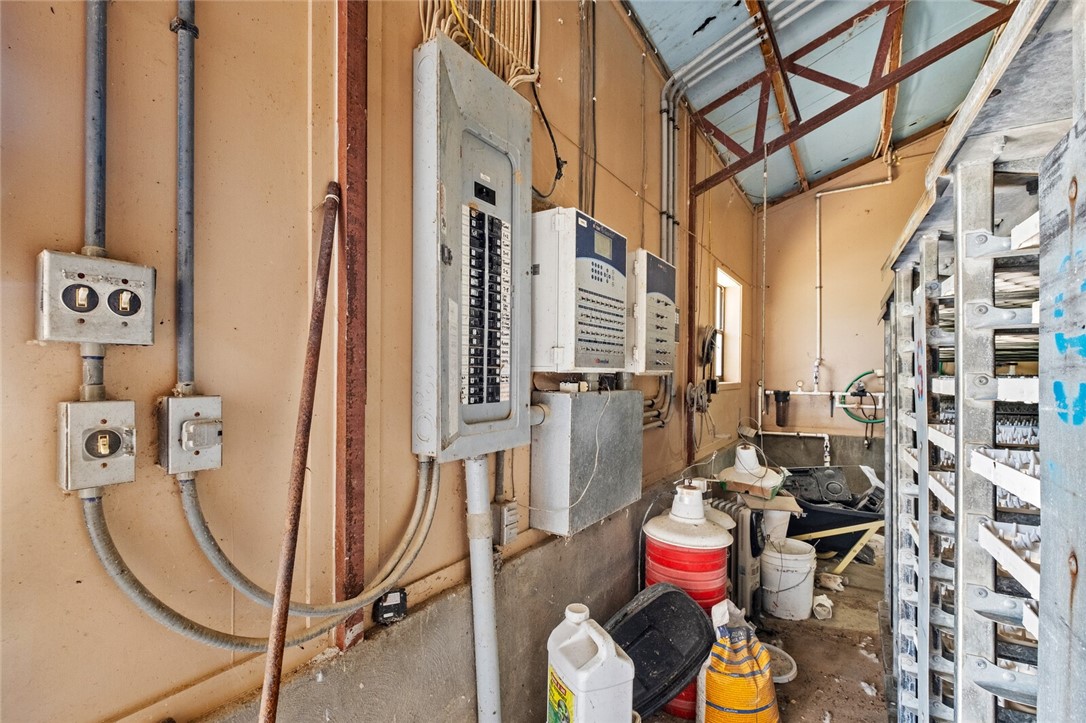 cockle doodle doo - Farm