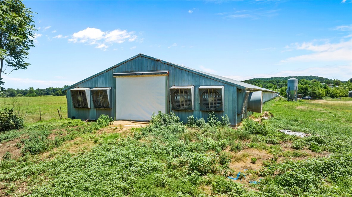 cockle doodle doo - Farm