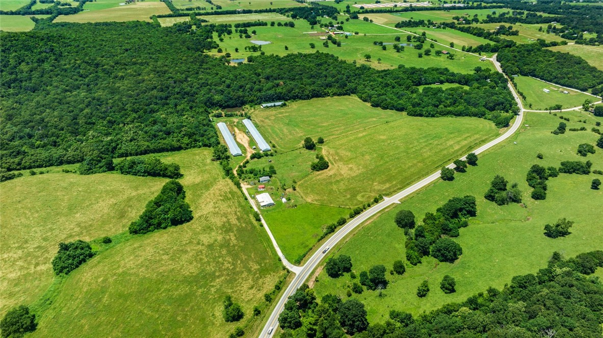 cockle doodle doo - Farm