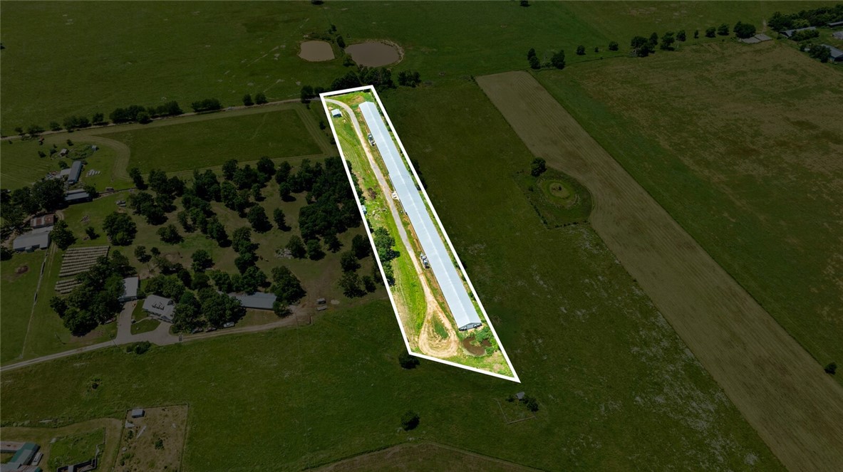 cockle doodle doo - Farm