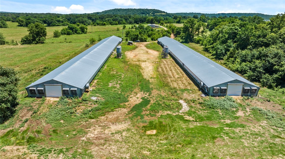 cockle doodle doo - Farm