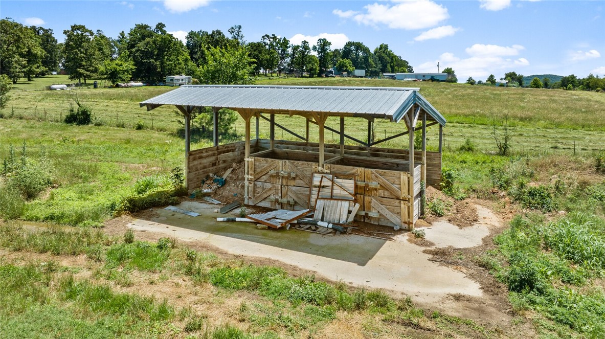 cockle doodle doo - Farm