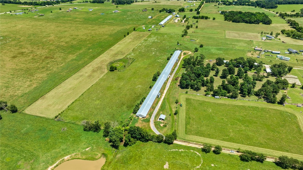 cockle doodle doo - Farm