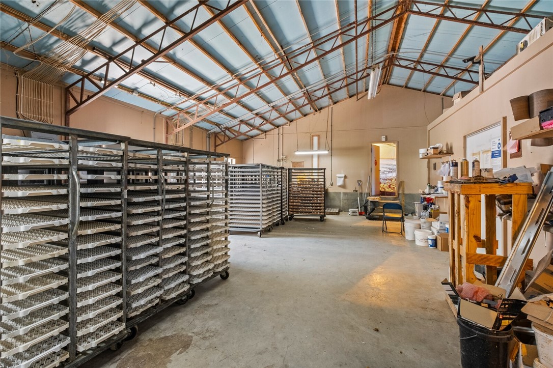 cockle doodle doo - Farm