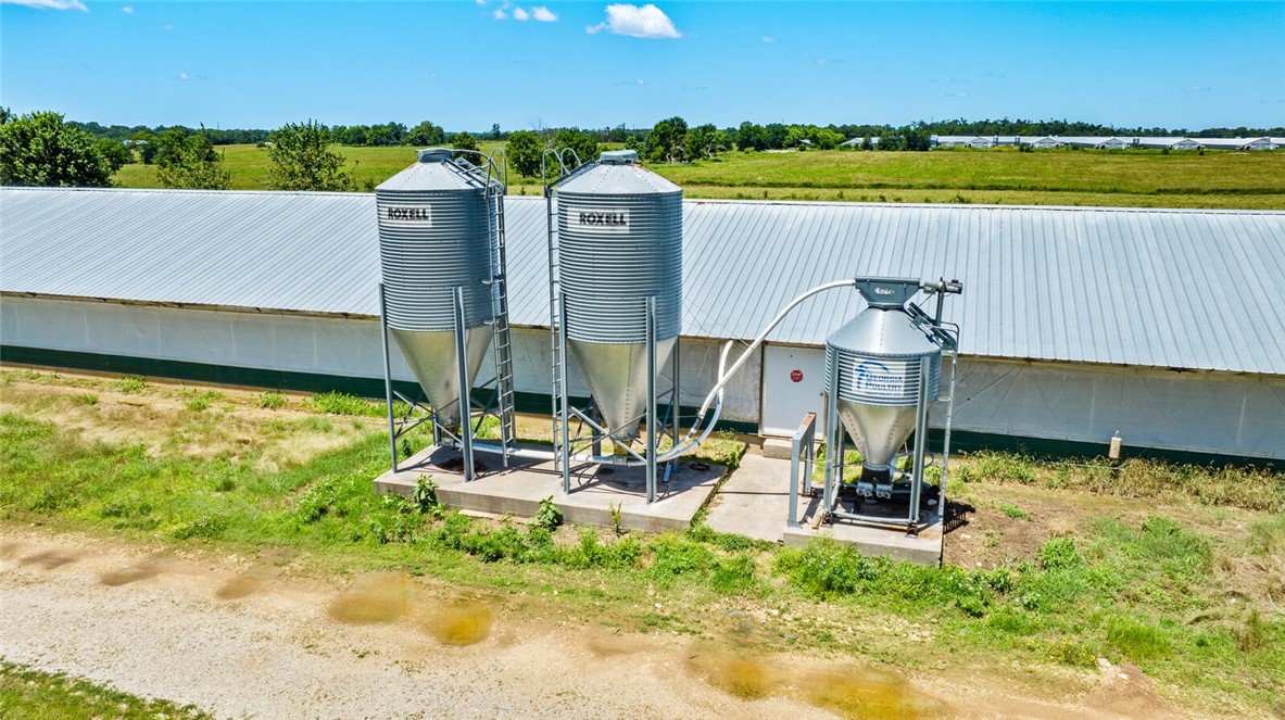 cockle doodle doo - Farm