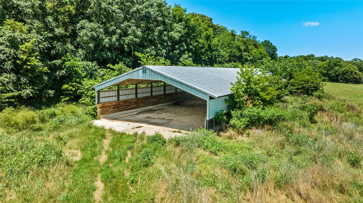 cockle doodle doo - Farm