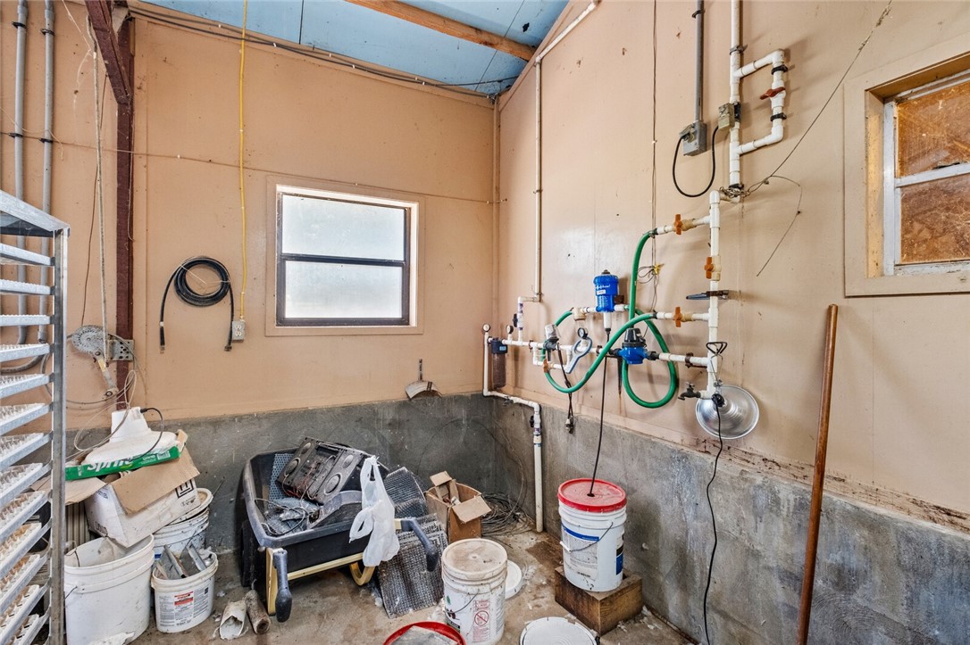 cockle doodle doo - Farm