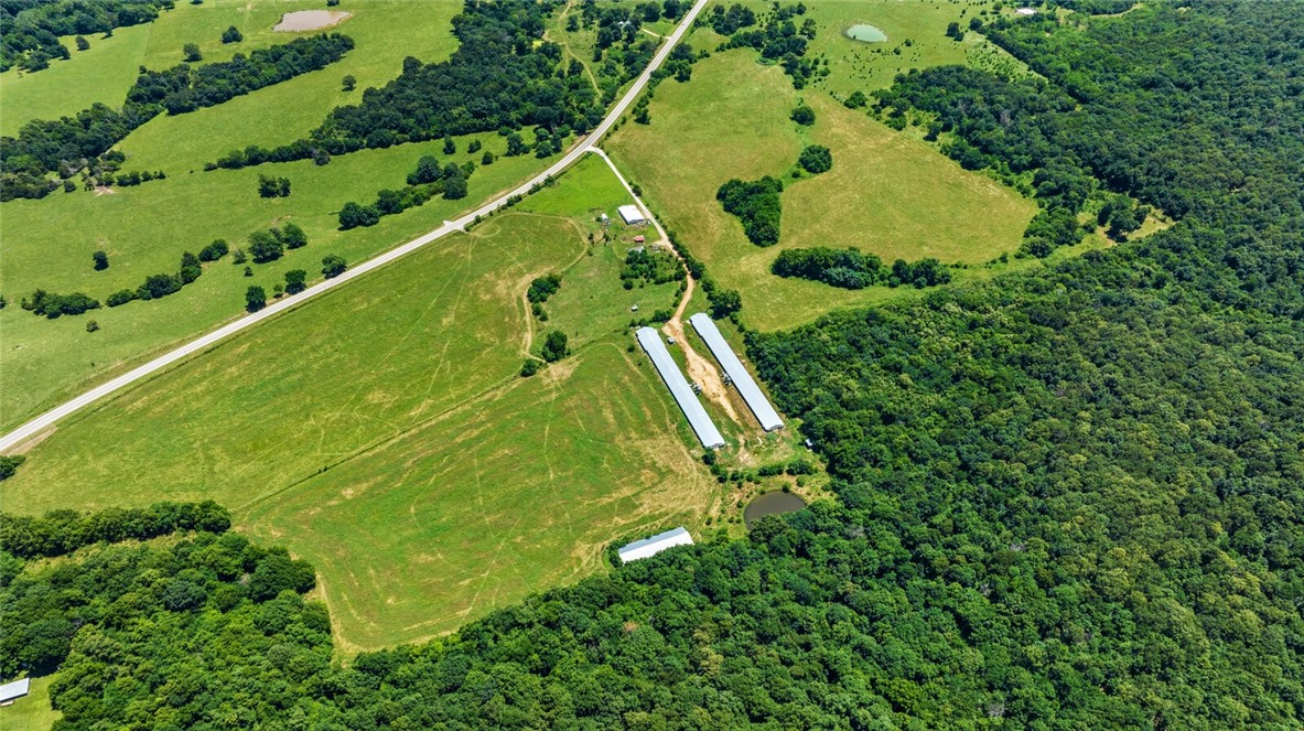 cockle doodle doo - Farm