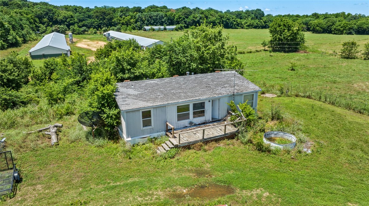 cockle doodle doo - Farm