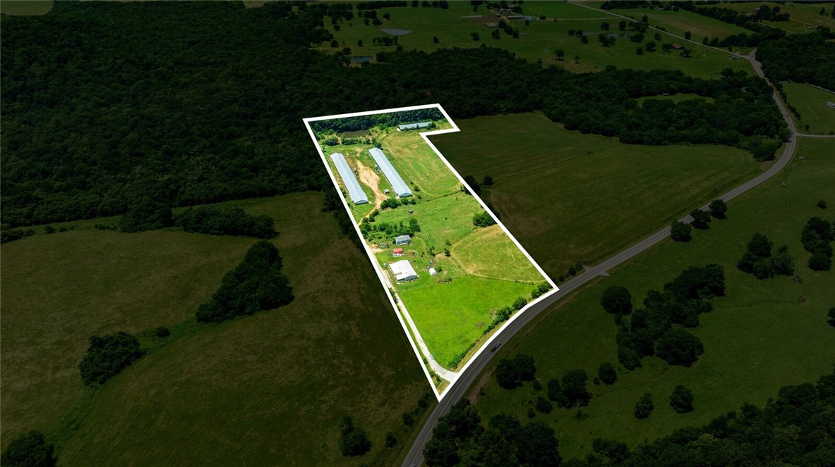 cockle doodle doo - Farm