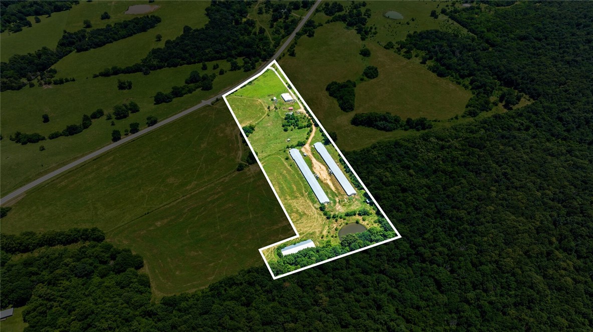 cockle doodle doo - Farm