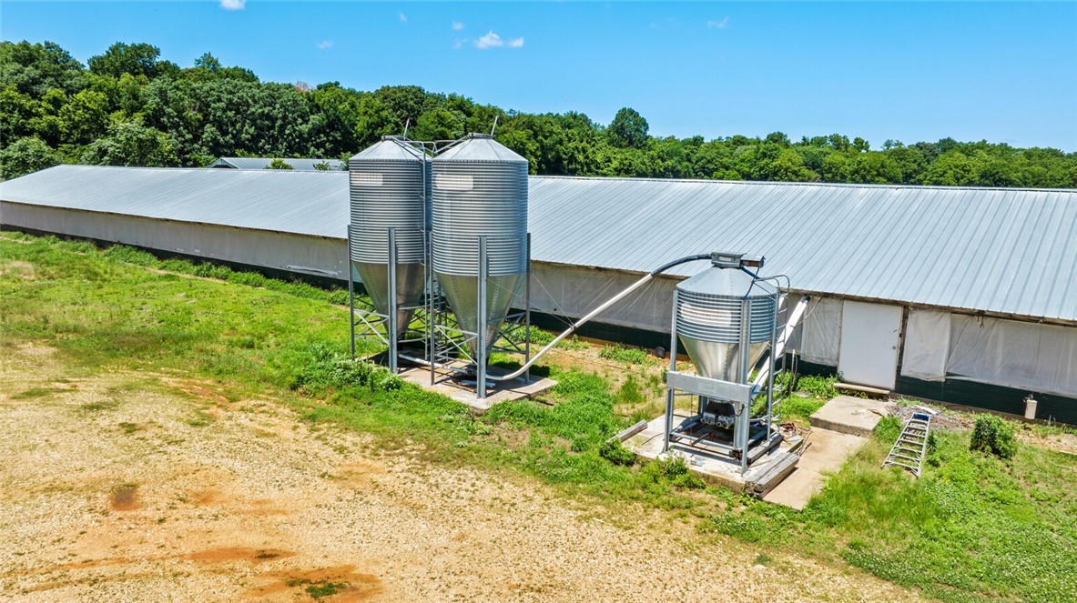 cockle doodle doo - Farm